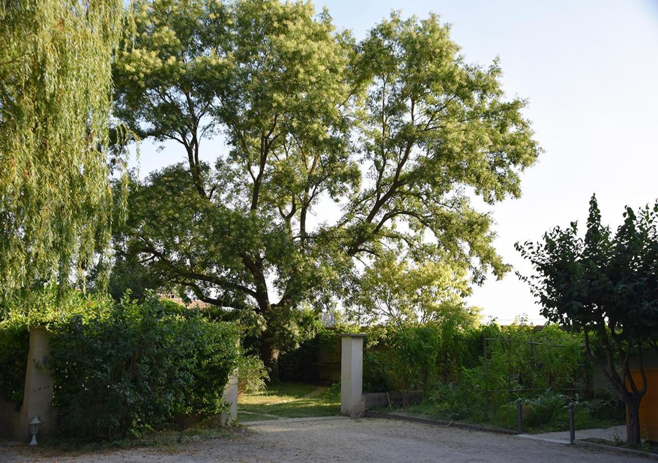 La Maison Des Invites Pernes-les-Fontaines Zewnętrze zdjęcie